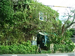 d0107605_121223.jpg