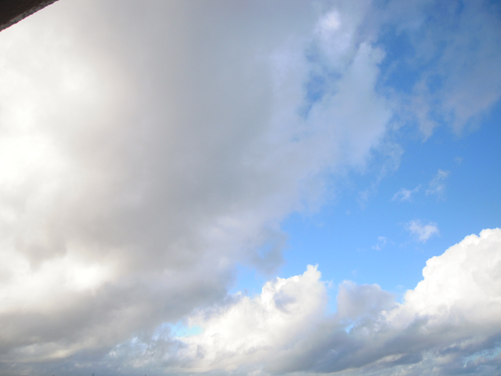 c0132608_16412693.jpg