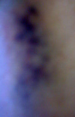 e0103408_130370.jpg