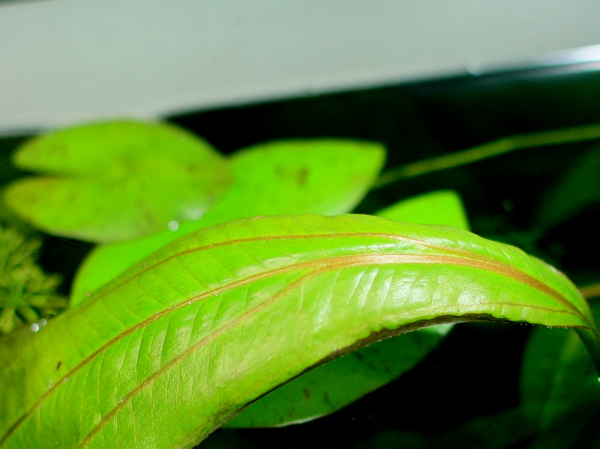 f0132112_23201215.jpg