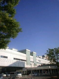 d0166614_23225385.jpg