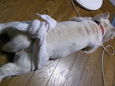 f0231319_04144.jpg