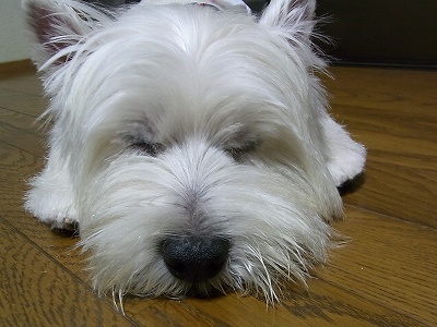 f0231319_042318.jpg