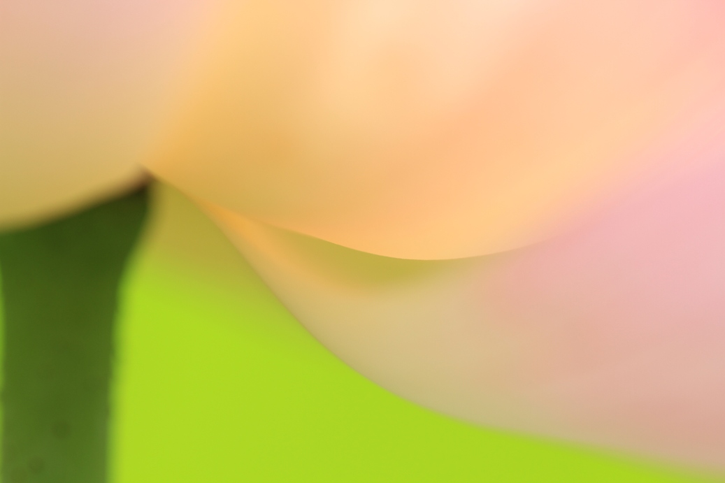 b0146723_23201219.jpg