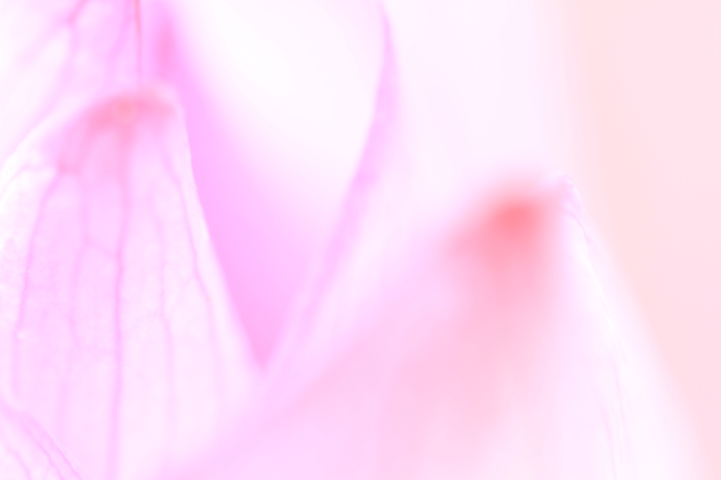 b0146723_23211724.jpg