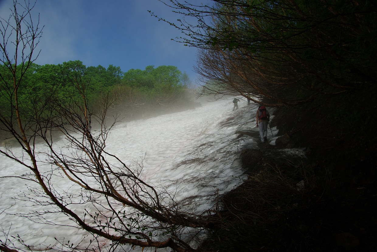 b0062024_22151899.jpg