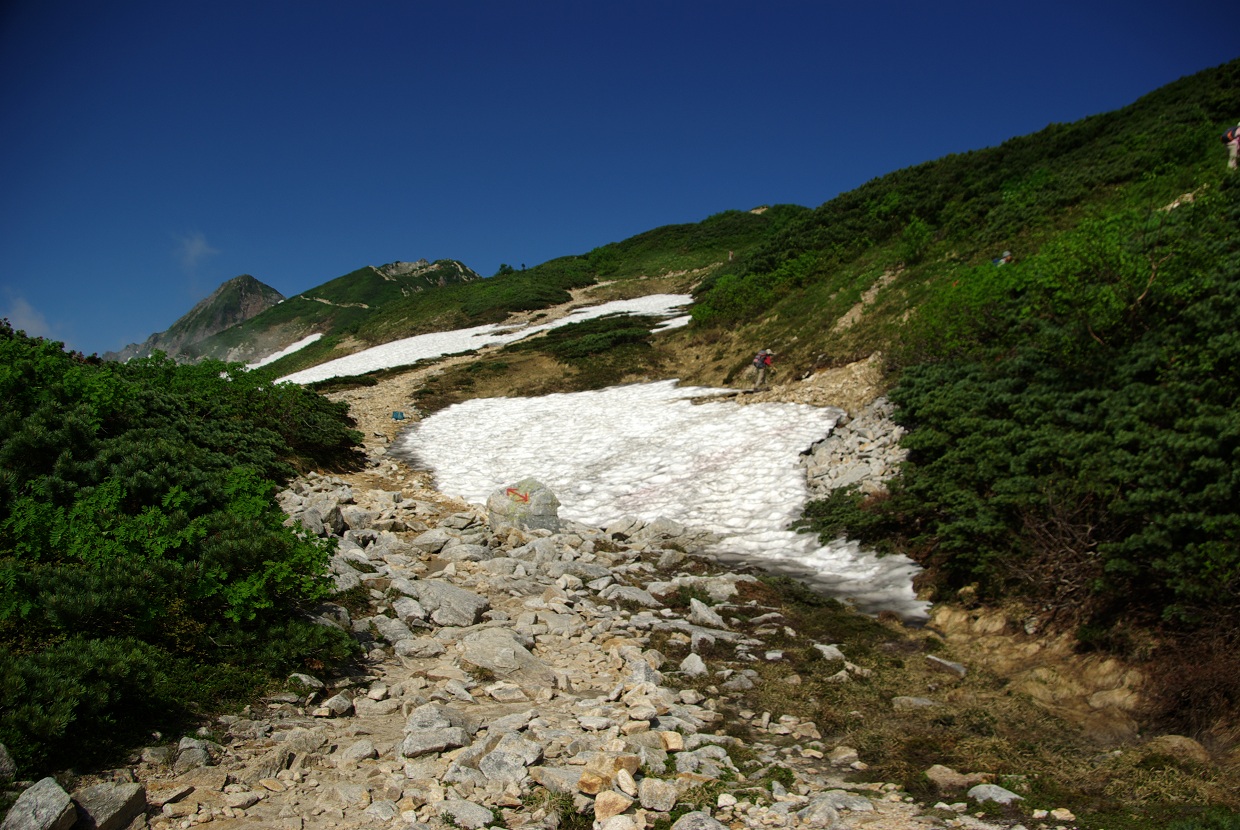 b0062024_22161944.jpg
