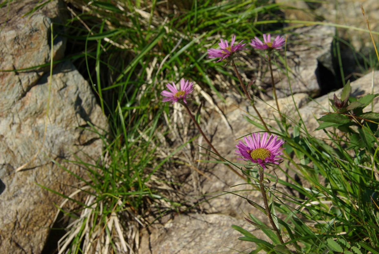 b0062024_2284258.jpg
