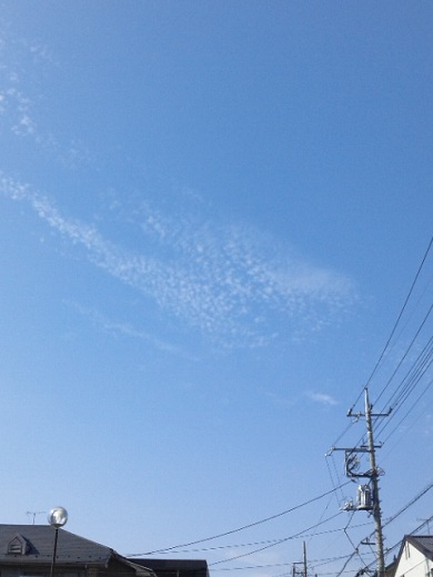 b0199924_1652426.jpg