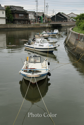 f0078127_8543380.jpg