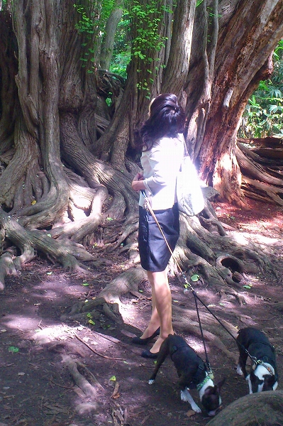 c0209932_21425574.jpg