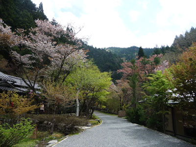 b0035734_132315.jpg