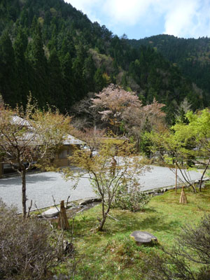 b0035734_1594486.jpg