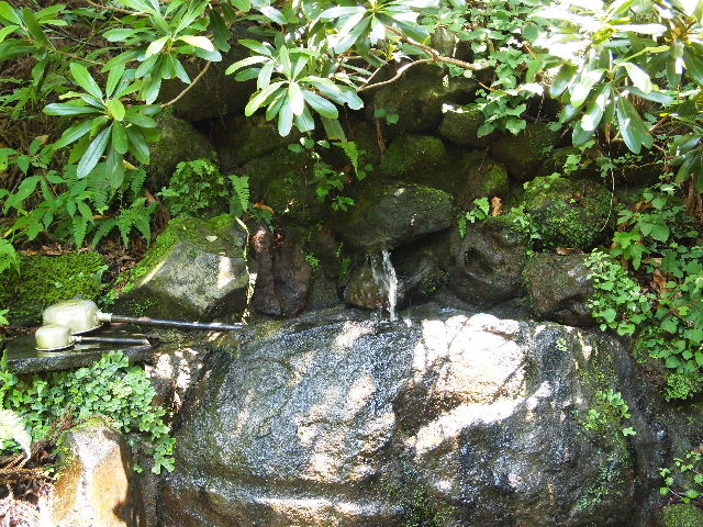 c0000134_18433256.jpg