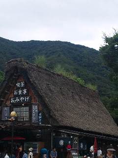 d0155434_22421829.jpg