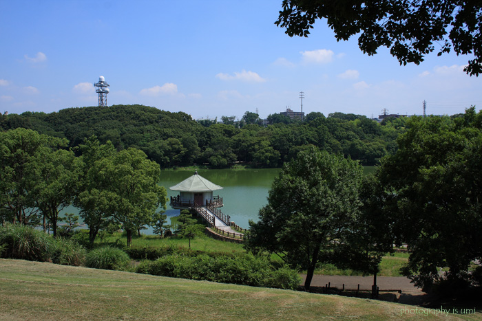 e0083238_21471785.jpg