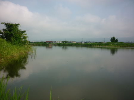 e0131541_21123637.jpg