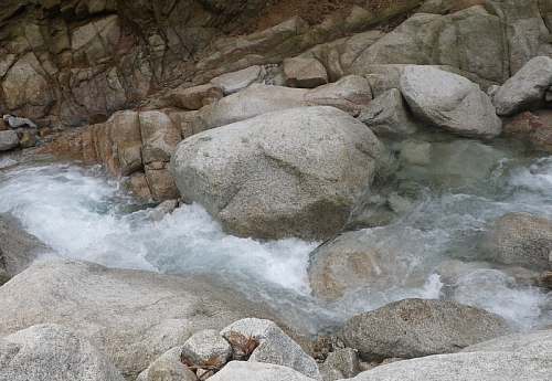 c0042847_11145534.jpg