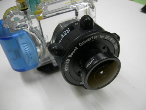 c0109447_1518557.jpg