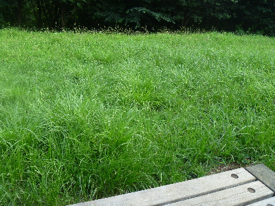 e0121548_21504858.jpg