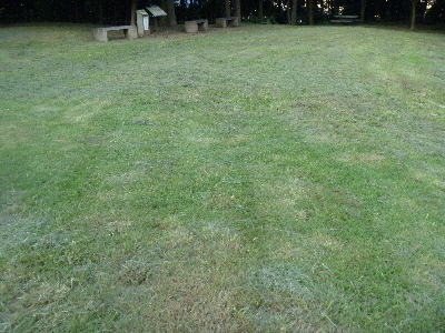 e0121548_21522188.jpg