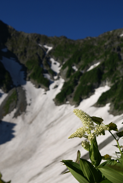 f0214649_355537.jpg