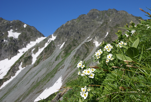 f0214649_4103144.jpg