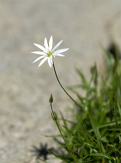 f0214649_4164933.jpg