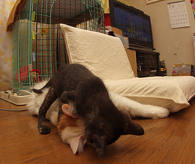 a0028451_12492999.jpg