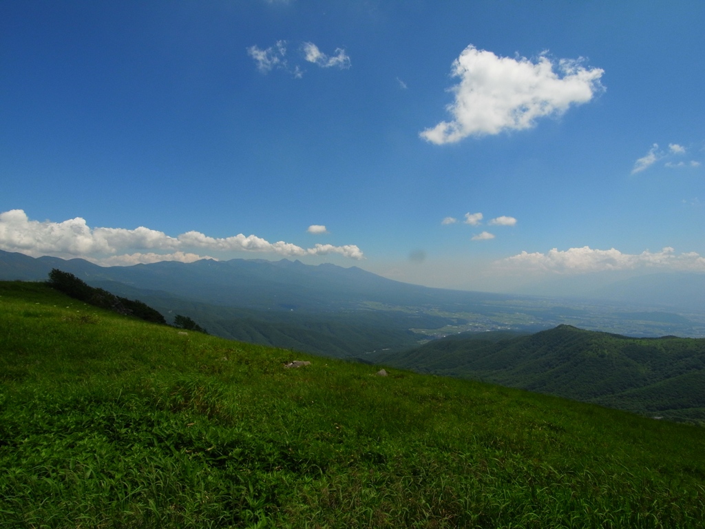 e0223456_827393.jpg