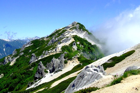 d0105063_11331548.jpg