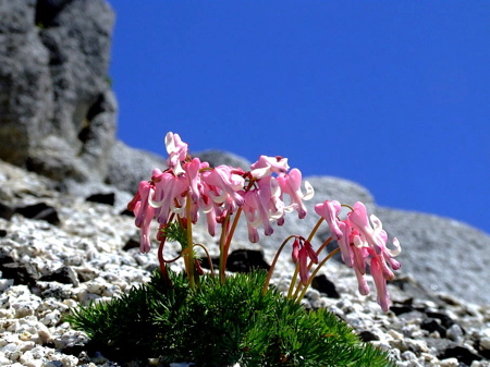 d0105063_11341670.jpg