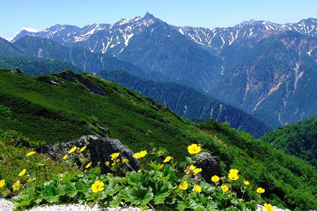 d0105063_1134412.jpg