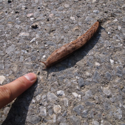 c0122670_09594.jpg
