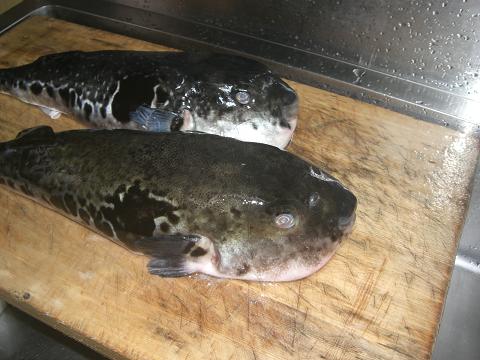 c0098871_13555119.jpg