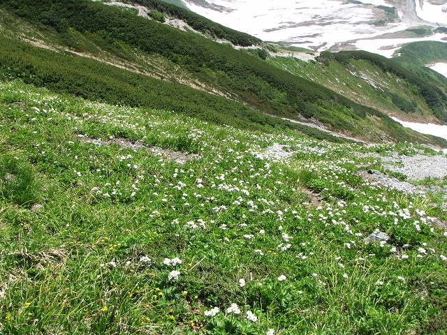 a0191674_11375277.jpg
