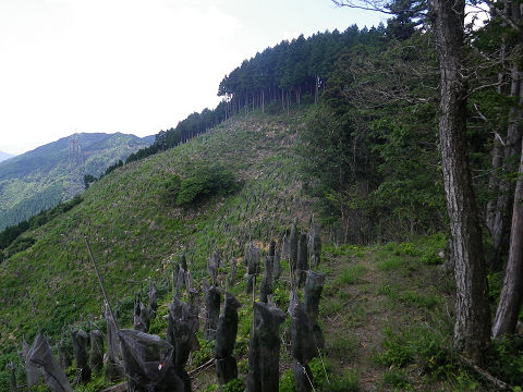 c0002874_21331438.jpg