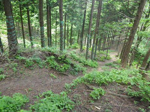 c0002874_2135305.jpg