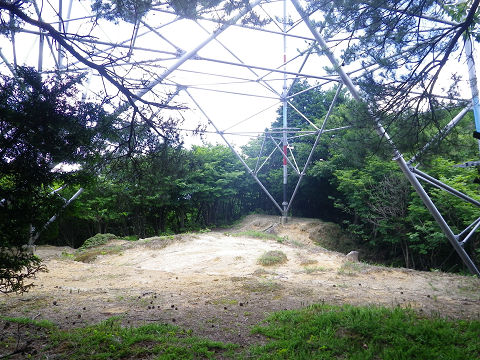 c0002874_2136479.jpg