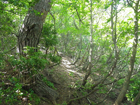 c0002874_21392780.jpg