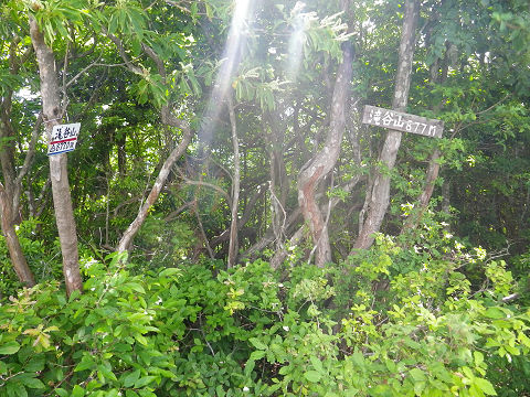 c0002874_21413957.jpg