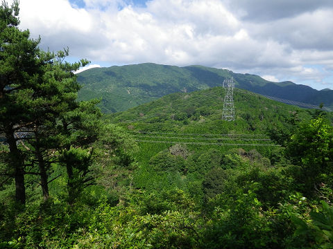c0002874_21431548.jpg