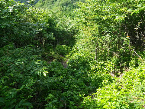 c0002874_21445145.jpg