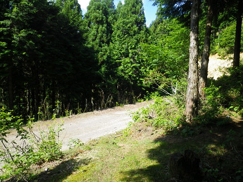 c0002874_21494757.jpg