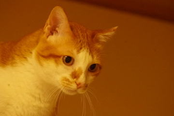 f0054677_7253244.jpg
