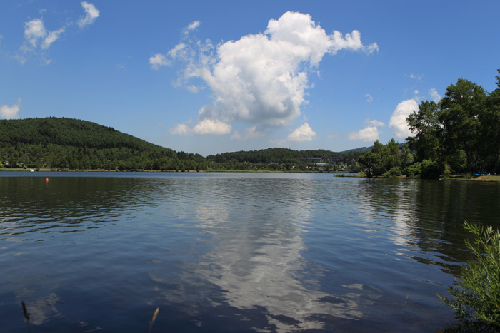 c0008378_22425289.jpg
