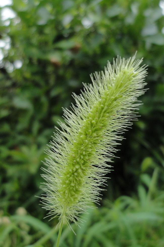 e0024081_143479.jpg