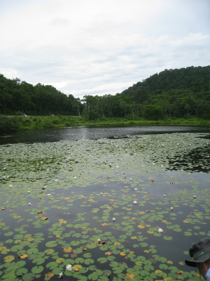 a0038882_920329.jpg
