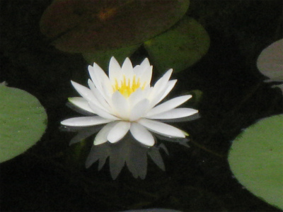 a0038882_9205966.jpg