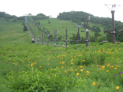 a0038882_9222927.jpg